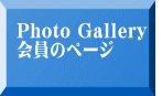 Photo Gallery ̃y[W